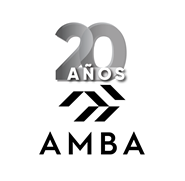 AMBA 2020