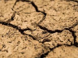 Sequía colapsa al campo mexicano; Chihuahua, el estado más afectado
